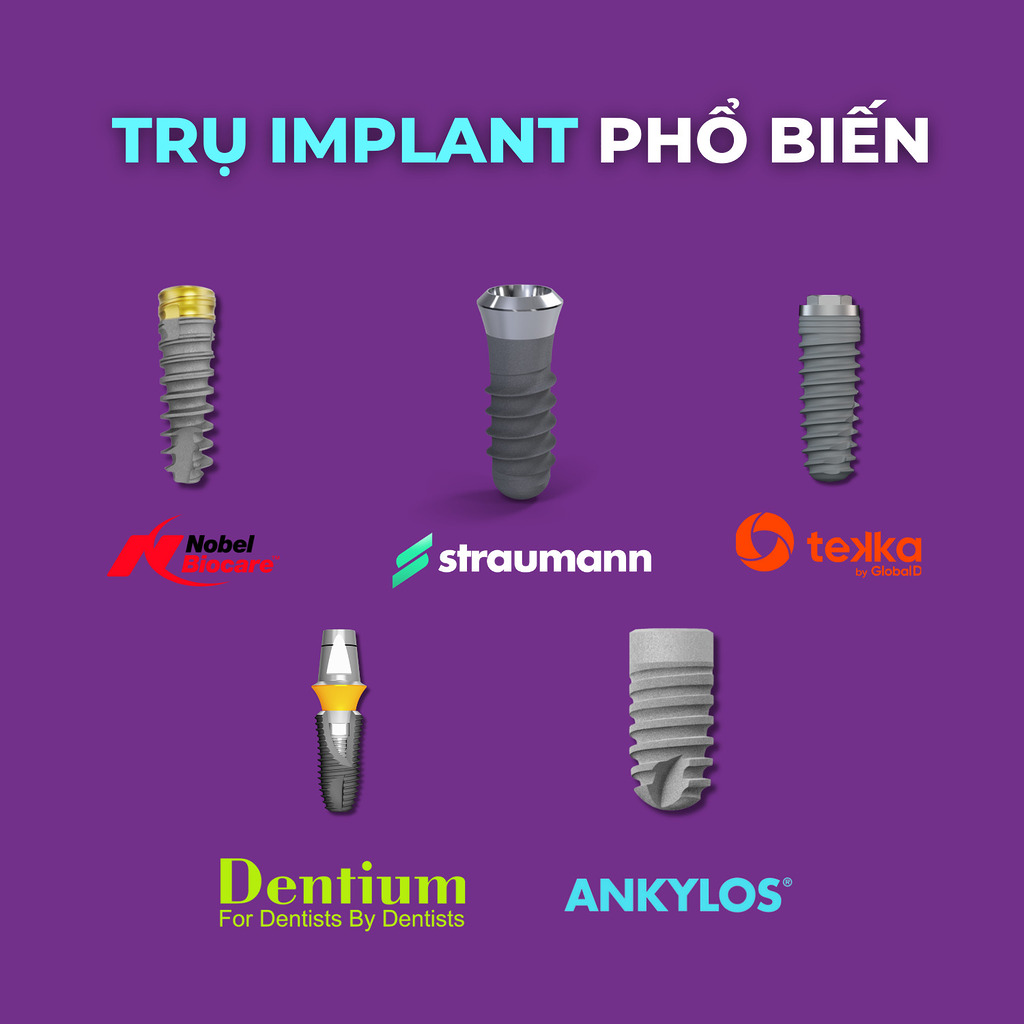 5 loại implant trụ tại Nha khoa Cẩm Tú Quận 1 bao gồm Nobel Biocre, Straumann, Tekka, Dentium, Ankylos