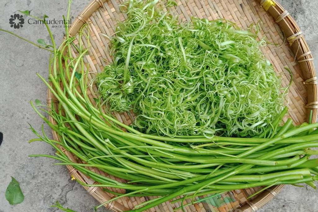 Rau nhiều xơ dễ mắc vào kẽ răng sau khi ăn